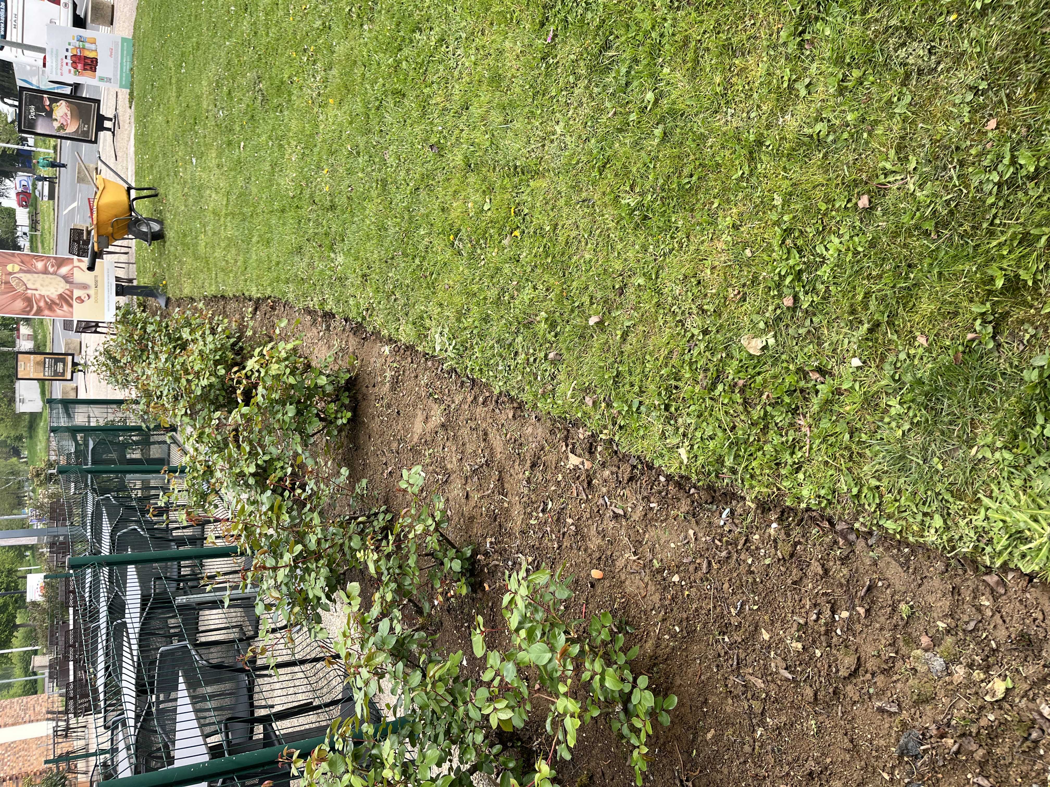 Entretien écologique d'un jardin à Amiens