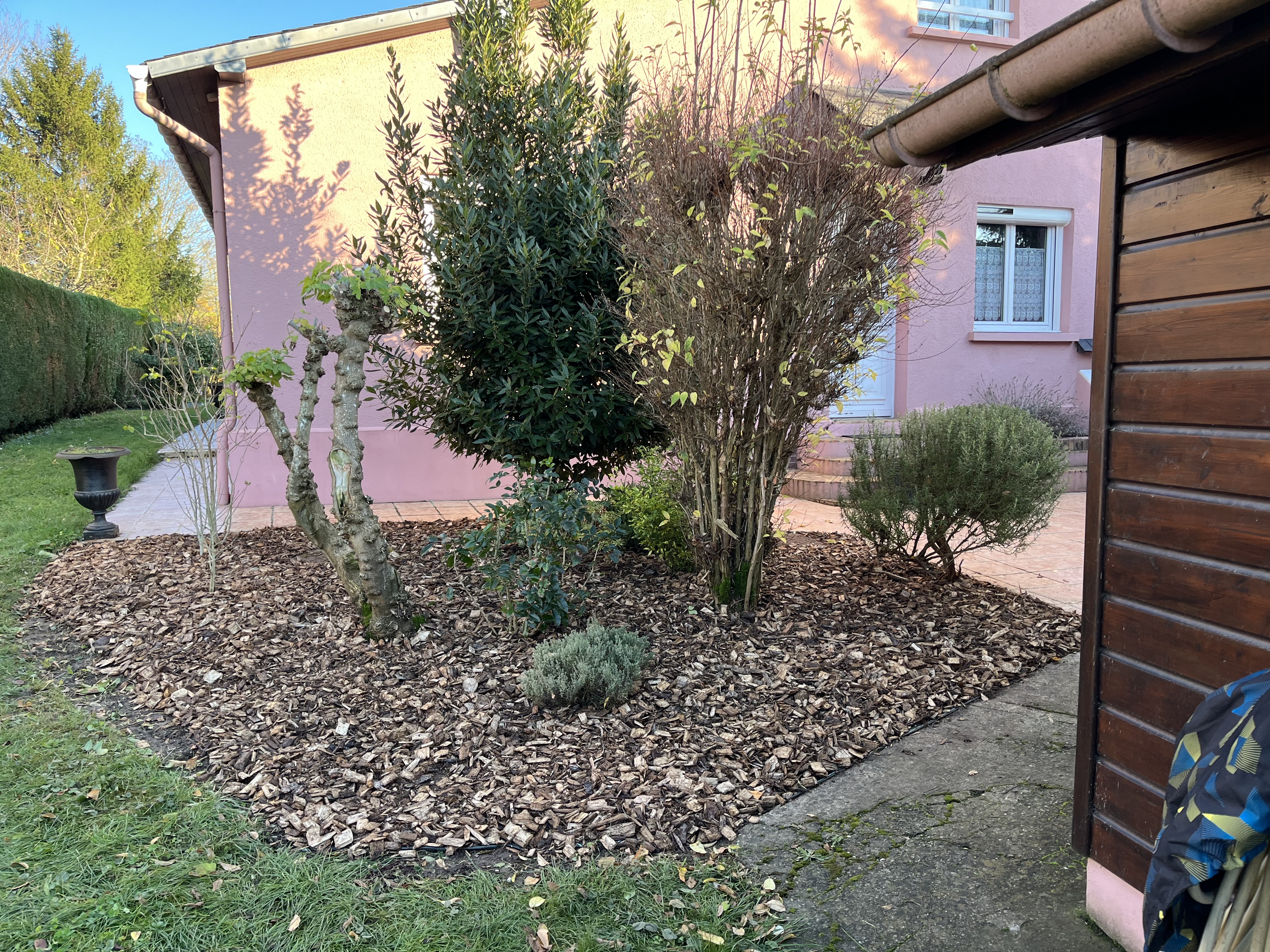 Massif fleuri à Amiens avant et après plantation