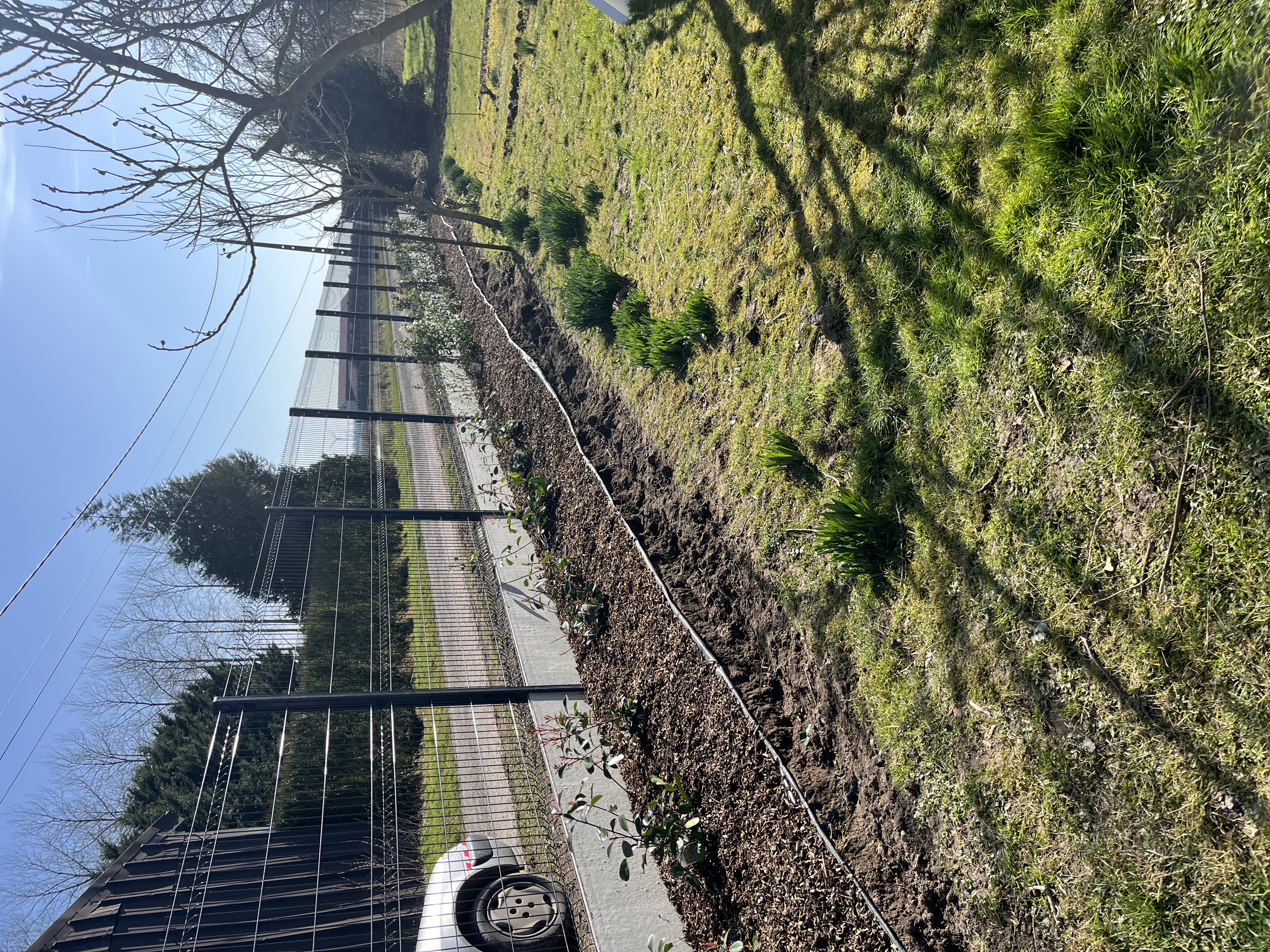 Détail d'un massif de vivaces à Amiens